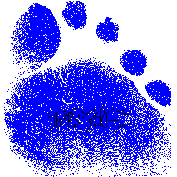 footprint signiture